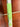 RETURN 4 SALE - STX Crux Jr Complete Youth Girl's Lacrosse Stick